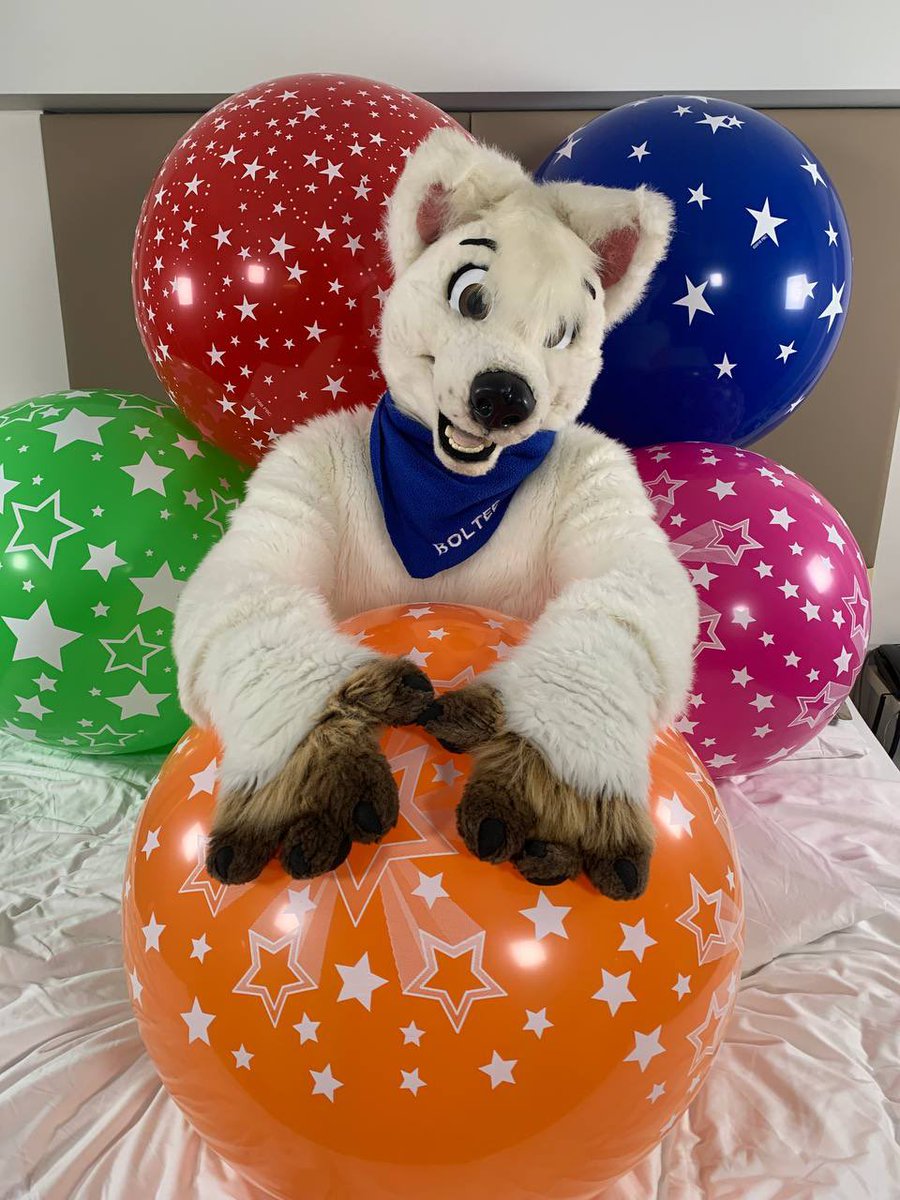 Boltee (@bolt_cadell) on Twitter photo Happy #FursuitFriday with some colourful star Balloons! :D Me likey those sof squishy orbs <3 ๐ธ <a href="/SkeppoBalloon/">SkeppoBalloon ๐๐พ</a> Happy #FursuitFriday with some colourful star Balloons! :D Me likey those sof squishy orbs <3 ๐ธ <a href="/SkeppoBalloon/">SkeppoBalloon ๐๐พ</a>