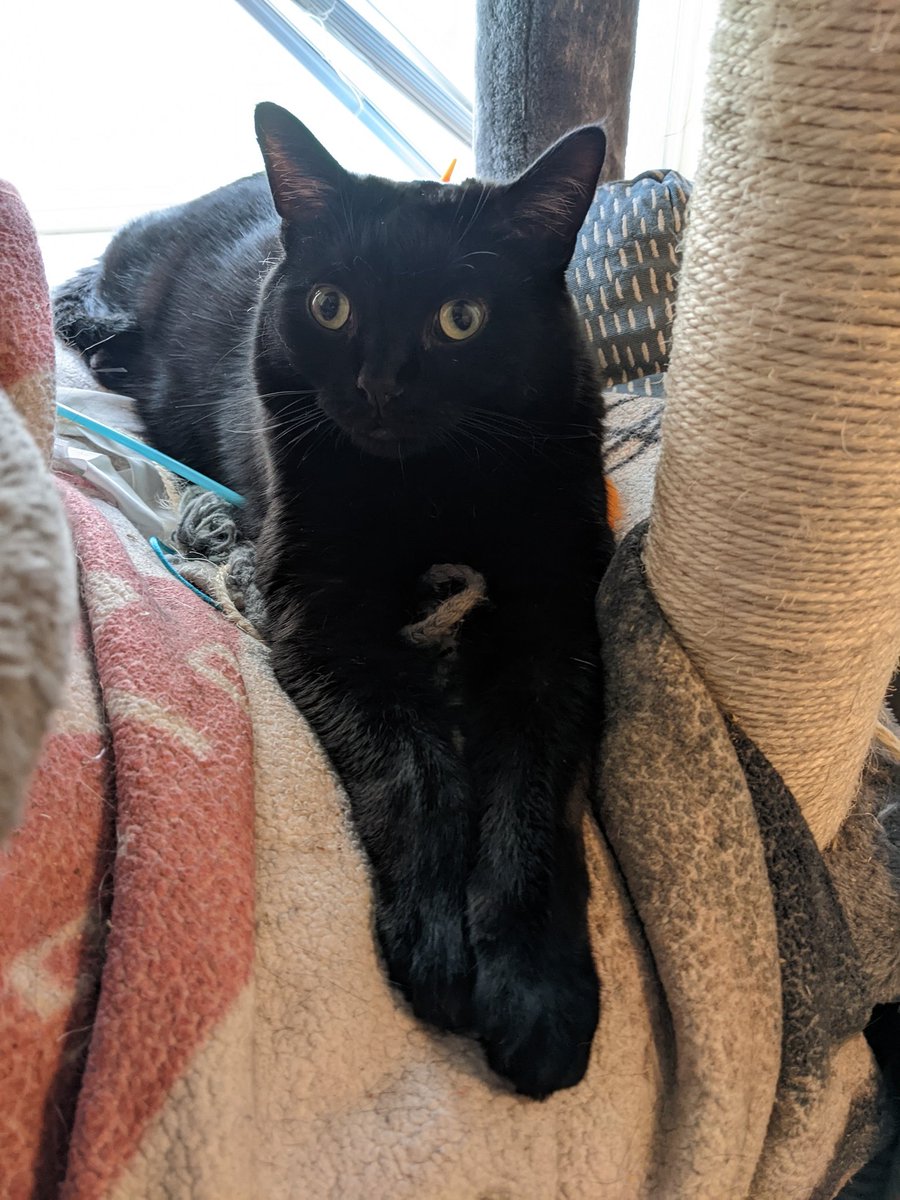 Brent Coffin tweet media