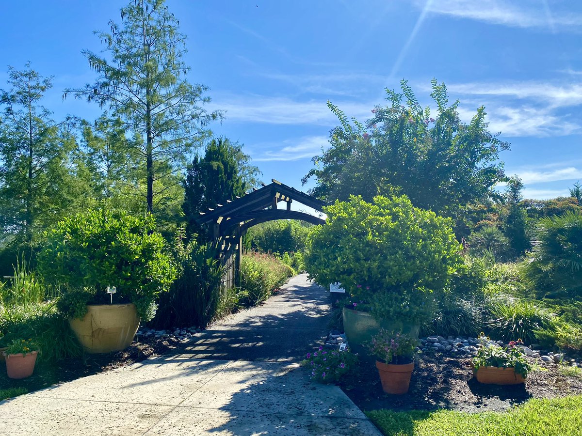 Rep. Darren Soto tweet media