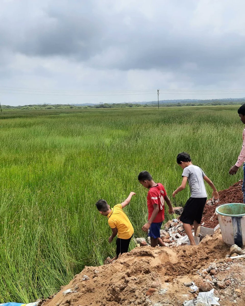 TallulahDSilva's tweet photo. Guide to flood your city! #khazaans #wetlands #city under threat #flooding #dumpdebris #fillup #lowlying #fields #concretize #Build @climatechange @visrane @nileshcabral @RamsarConv @floodmagazine @down2earthindia https://t.co/Da7WhaSsir