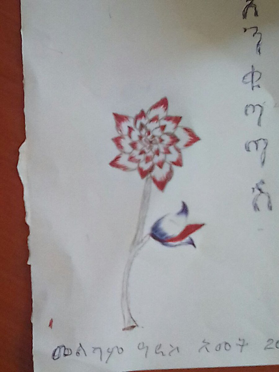 Dessie Kassa (@dessiekassa2) on Twitter photo 