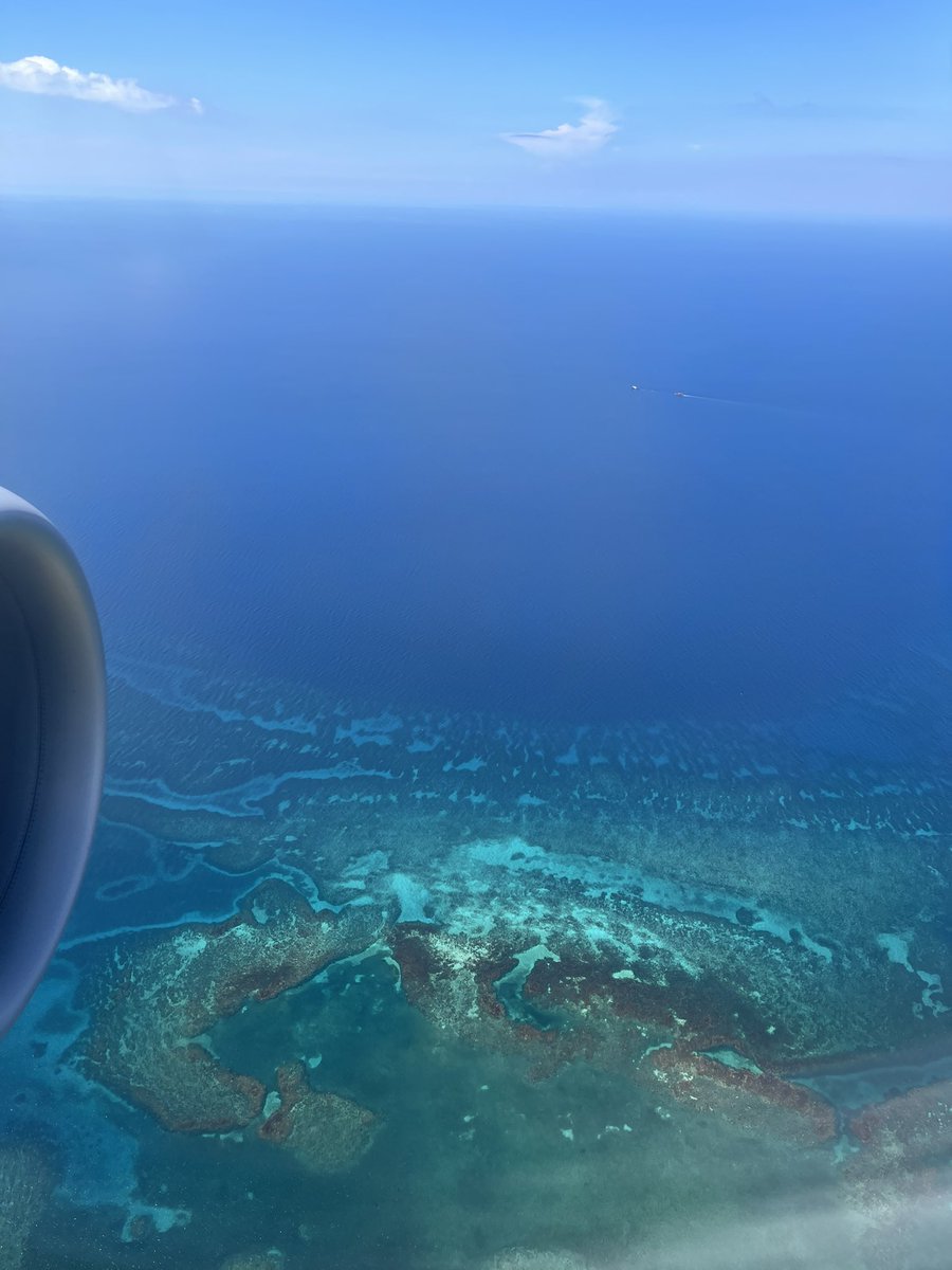mgnshlyjns's tweet photo. #ClubMobay was a great addition to the #Jamaica π―π² trip. Made going through immigration and customs a breeze. Plus, you have access to their lounge for food and drinks while you wait for transportation π. https://t.co/q4TsCqunHx