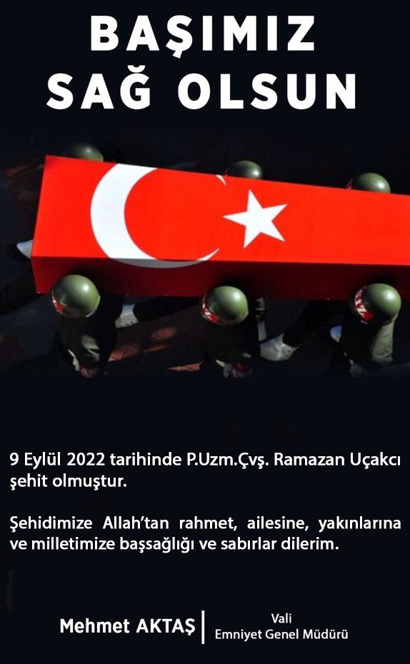 Resim