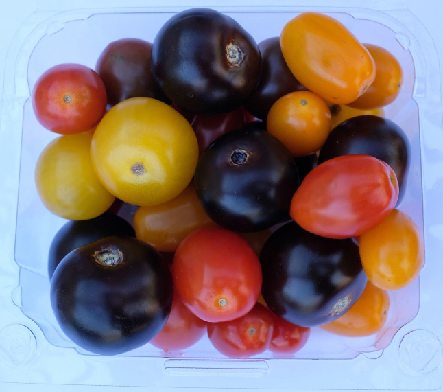 On the headlines today: Norfolk Healthy Produce bets on the power of the purple GMO tomato

Are you ready to embrace the power of purple?
thepacker.com/news/produce-c…