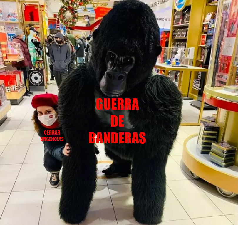Tyrexito's tweet photo. El nuevo gorila de Ayuso. https://t.co/Xs1ZsNbZRM
