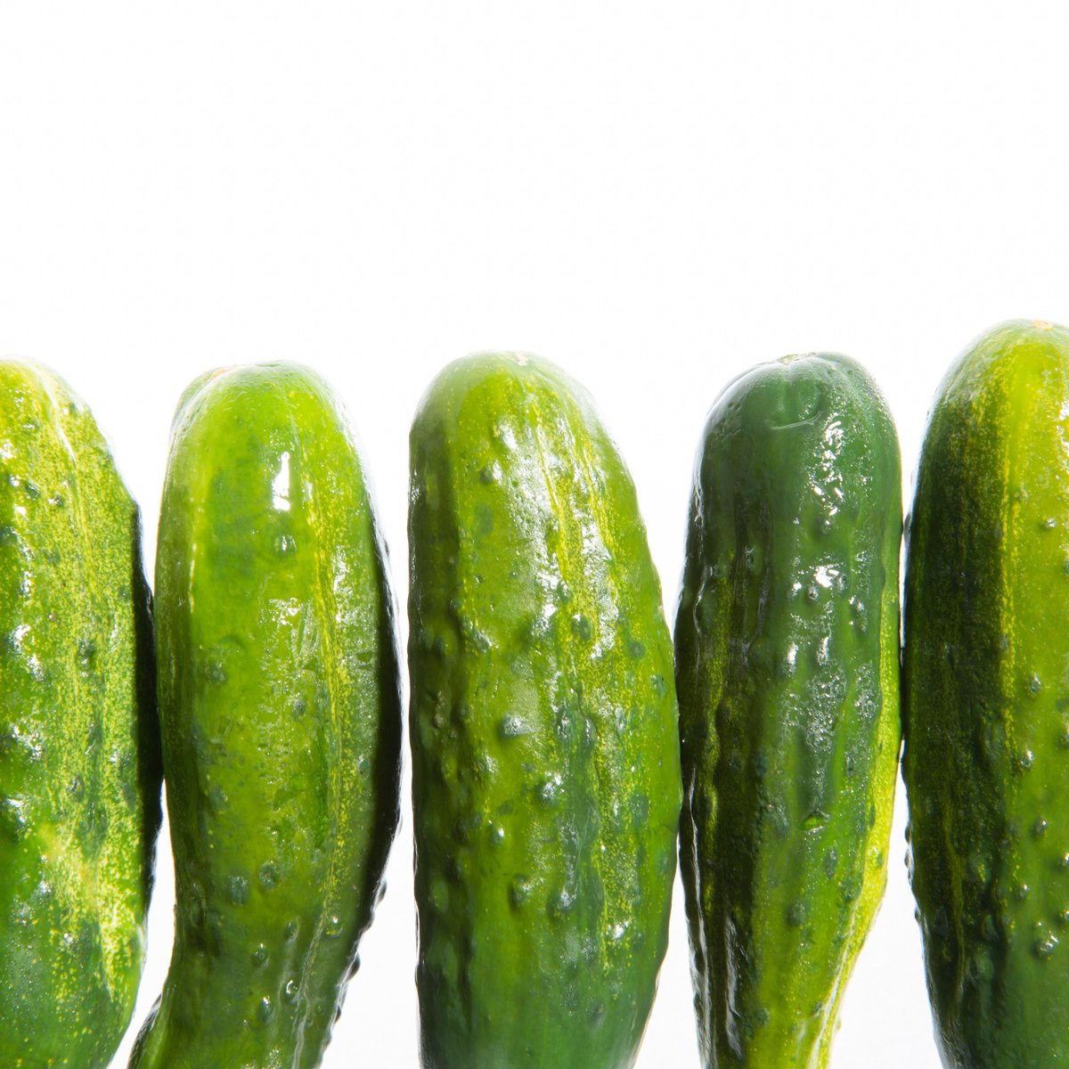 Topor's Pickles tweet media