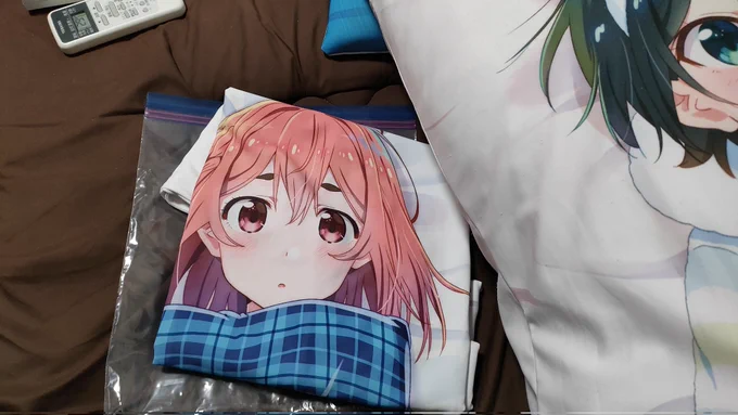 今日のすみちゃん可愛かったよなぁ…おや、こんなところにすみちゃんの抱き枕が?(ちゃっかり持ってる) しかし二期に合わせてこういうオーソドックスな抱き枕の新作が出るのでは?と期待してたんだが…まぁだ時間かかりそうですかねぇ〜#彼女お借りします 