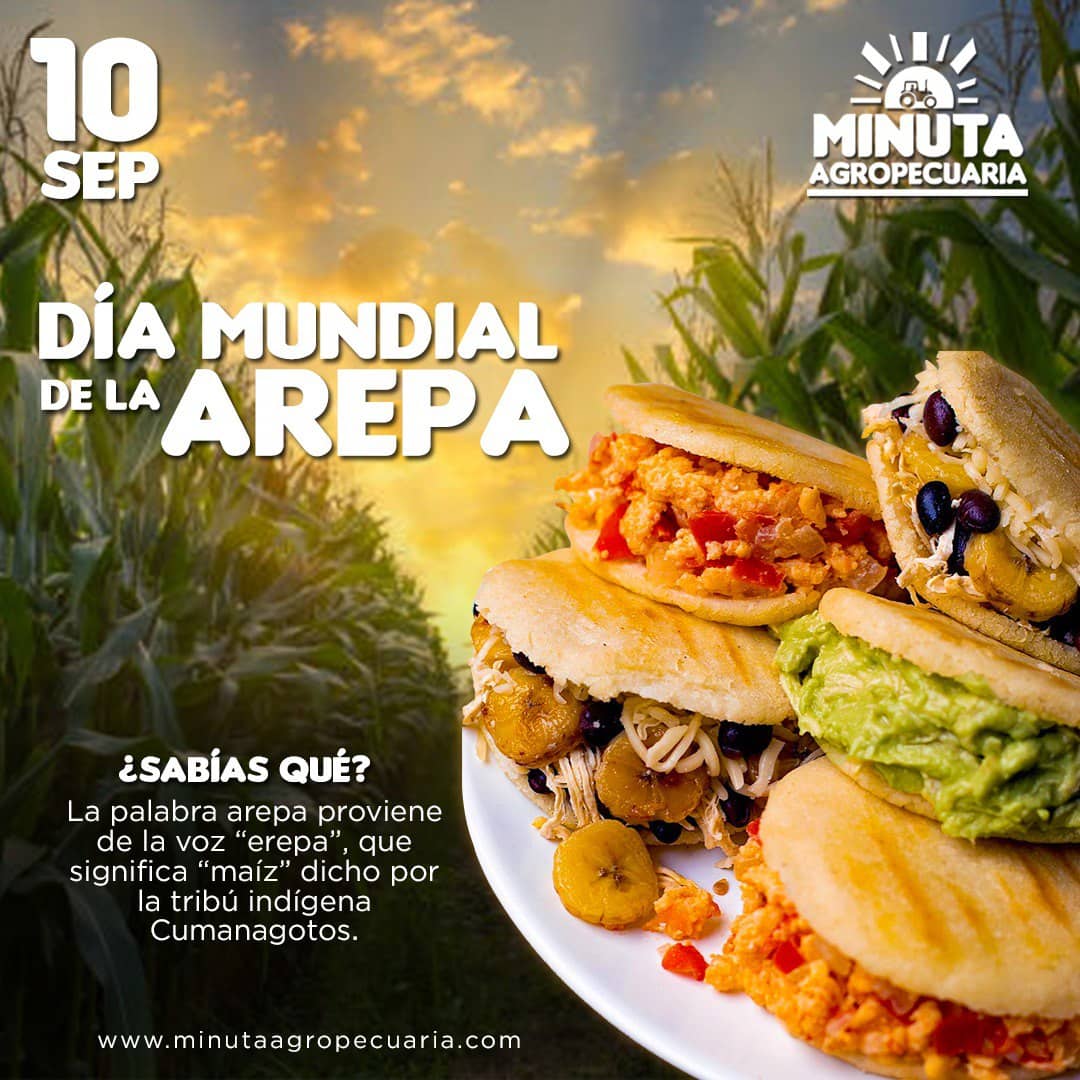 minutaagro's tweet photo. #Efemérides | Cada segundo sábado de septiembre se celebra el día mundial de la arepa, festividad que se le debe agradecer principalmente a todos los agricultores de Venezuela por su grandiosa labor de cultivar el maíz - Minuta Agropecuaria https://t.co/Hs7TgnhRW5 #09Sep https://t.co/BF889CZJil