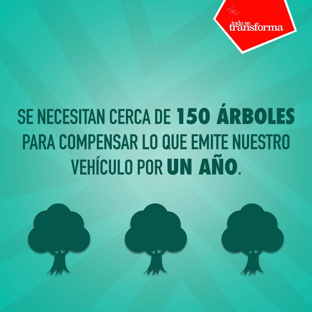 Todo Se Transforma (@transforma_bna) / Posts / X