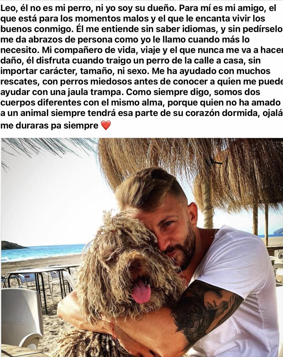 batiralibex35's tweet photo. K sabrán esta gente del gobierno k es #BienestarAnimal meter en tu casa a un perro lleno de chinchorros pulgas y enfermizo y quedártelo meses pagando todos los gastos k conlleva castrado incluido hasta k llegue un posible dueño irte de un cumpleaños para ir rescatar #MiJesus ❤️❤️ https://t.co/0XhigIhZxP