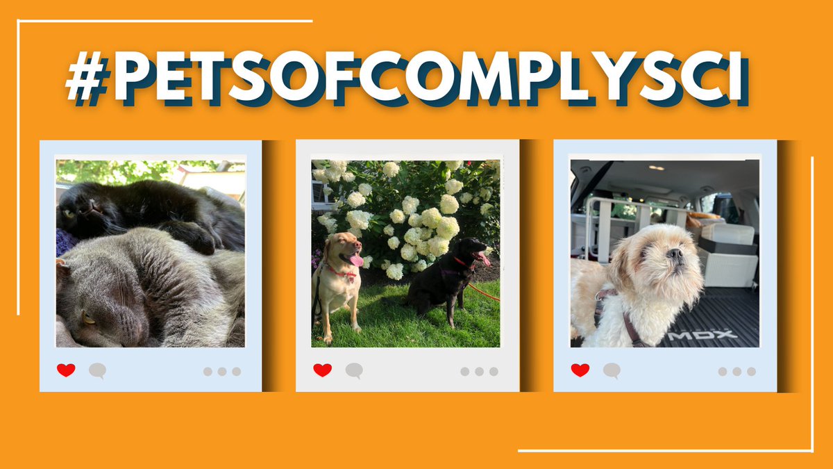 ComplySci's tweet photo. Happy Friday everyone! We're starting the weekend off right by sharing some of the #PetsofComplySci. Feel free to share a picture of yours in the comments!
#petspotlight https://t.co/lHthJ9kVEb
