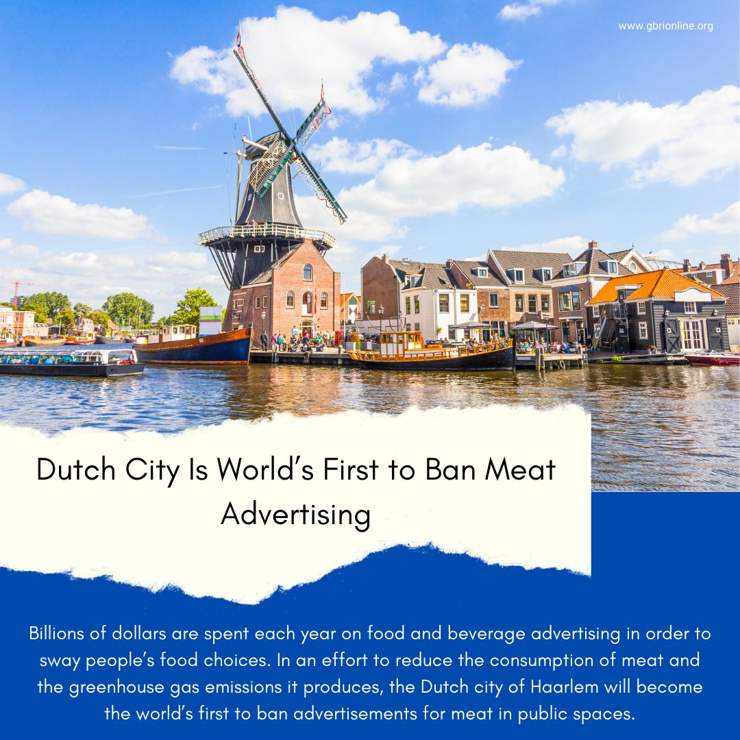 Happy Friday!

Here is your Good News Friday update, brought to you by <a href="/GetYourLEEDOn/">GBRI</a>. Help us celebrate these positive stories from around the world! 🎉

#goodnewsfriday #gbrinews #positiveimpact #trendingnews #content #design #research #sustainability #renewableenergy