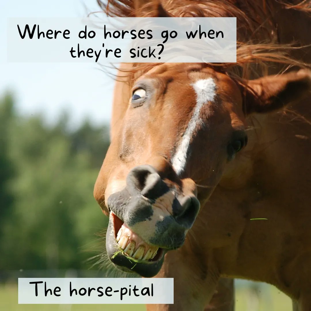 PolywestLtd's tweet photo. #FarmJokeFriday! We think we neeeeeigh-led this one. π
Have a great weekend, folks!
#AgTwitter #cdnag #agriculture #farmers #farming #liquidhandling #fertilizer #harvest22 https://t.co/8KETNZx1FV