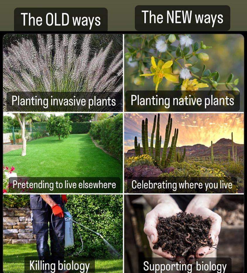 PiksteinLab_GCU's tweet photo. The #perceptionChange is in full swing, have you joined the #fight for a #sustainableFuture?! 💪❤️🌎 https://t.co/HdyCcPrLrY