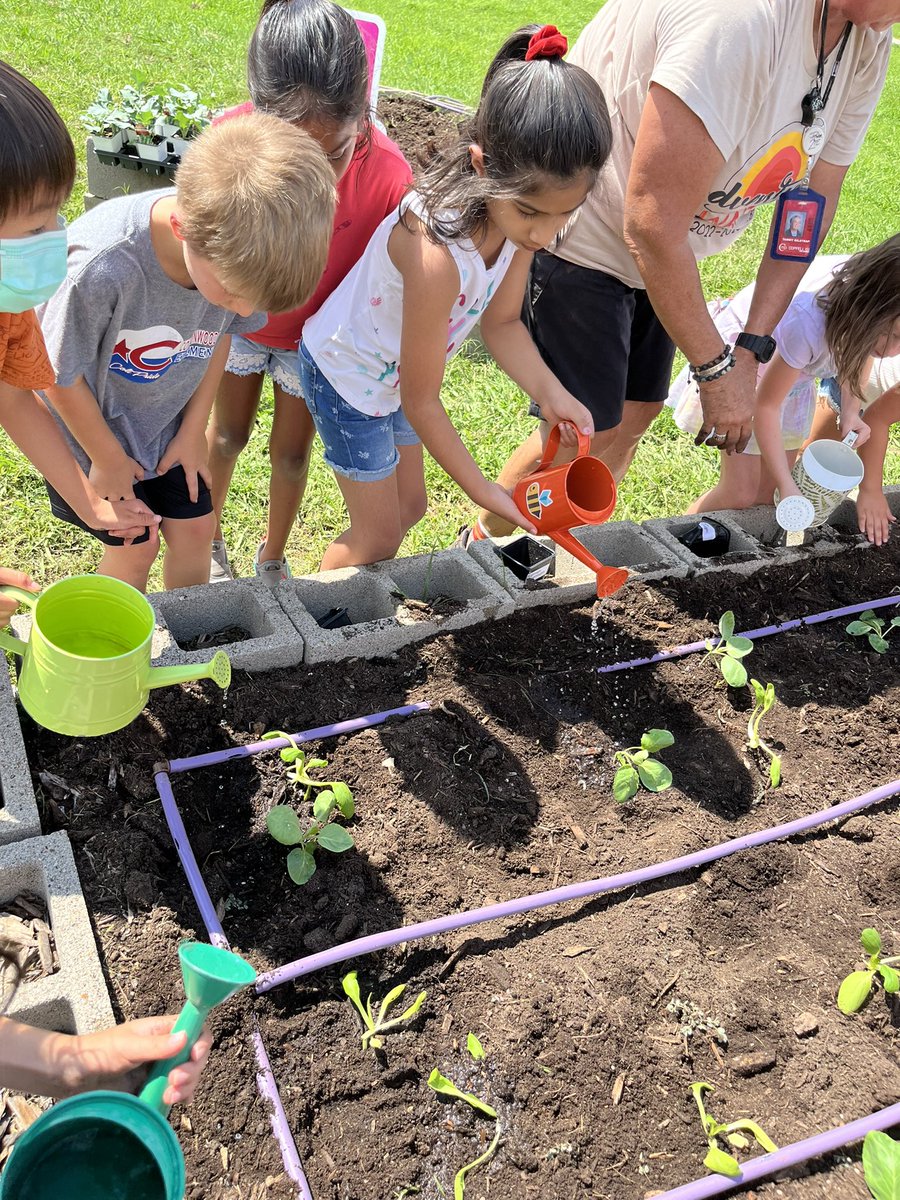 WaytoBeK3's tweet photo. Today was a GREAT garden day for @CCEColts kids!  K-5 was invited to help plant our garden and given the responsibility to help it grow!  My ❤️ is FULL! 
@ccePErocks is the ULTIMATE volunteer! @CISDFarmerLarry @CISD_Science @CISDNutrition 
🥦 🥬 🥕 https://t.co/yW9WSS5jUj