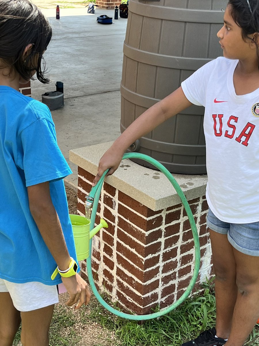 WaytoBeK3's tweet photo. Today was a GREAT garden day for @CCEColts kids!  K-5 was invited to help plant our garden and given the responsibility to help it grow!  My ❤️ is FULL! 
@ccePErocks is the ULTIMATE volunteer! @CISDFarmerLarry @CISD_Science @CISDNutrition 
🥦 🥬 🥕 https://t.co/yW9WSS5jUj