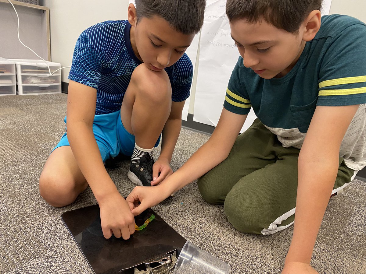 MphSteam's tweet image. First week of school was AWESOME! Check out some of our STEM challenges we used to help build our classroom community. (5 of …??)