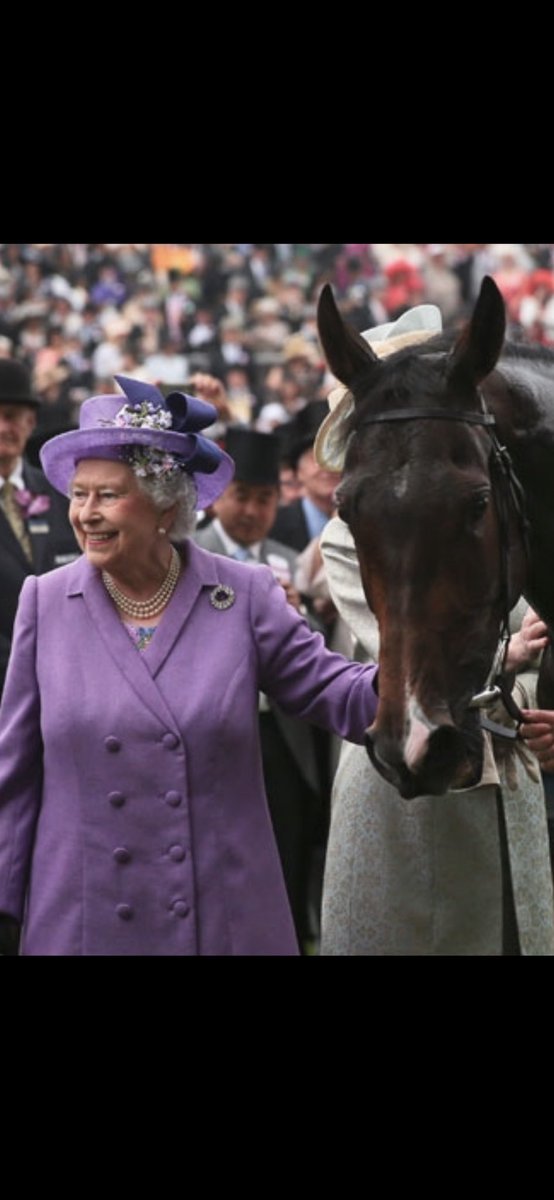 harryskelton89's tweet photo. Thankyou your Majesty #RIPQueenElizabeth https://t.co/NIPLEXE6lX