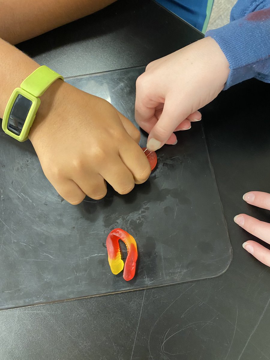 MphSteam's tweet image. First week of school was AWESOME! Check out some of our STEM challenges we used to help build our classroom community. (3 of …??)