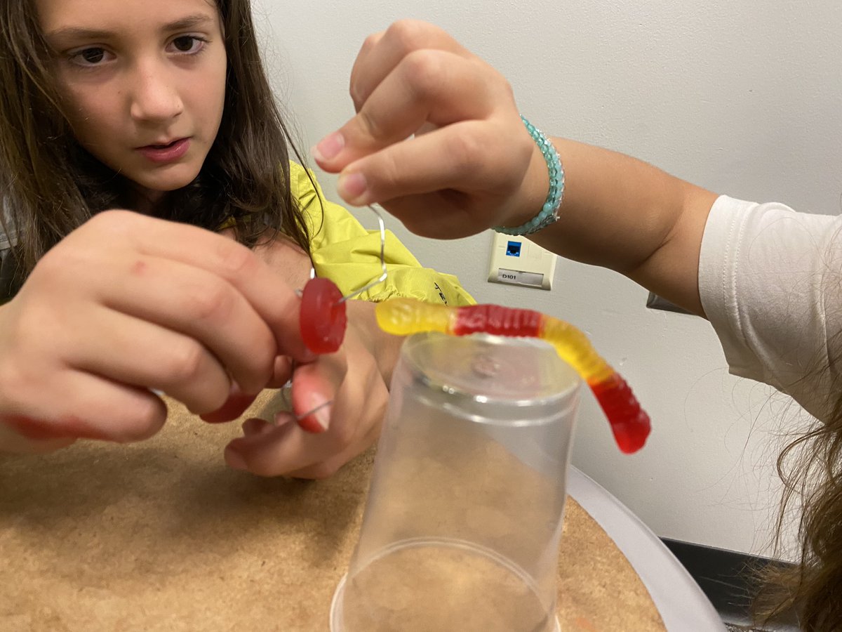 MphSteam's tweet image. First week of school was AWESOME! Check out some of our STEM challenges we used to help build our classroom community. (3 of …??)