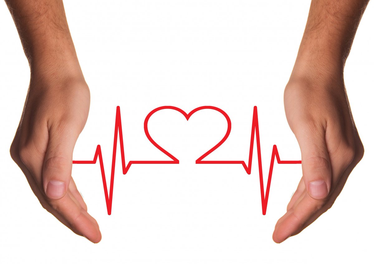 Low Carb Mag tweet media