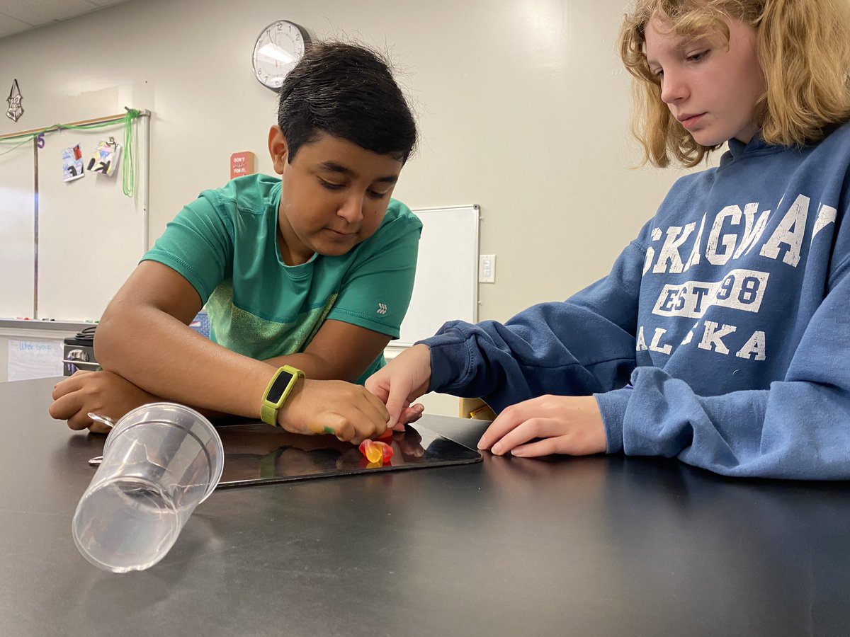 MphSteam's tweet image. First week of school was AWESOME! Check out some of our STEM challenges we used to help build our classroom community. (4 of …??)