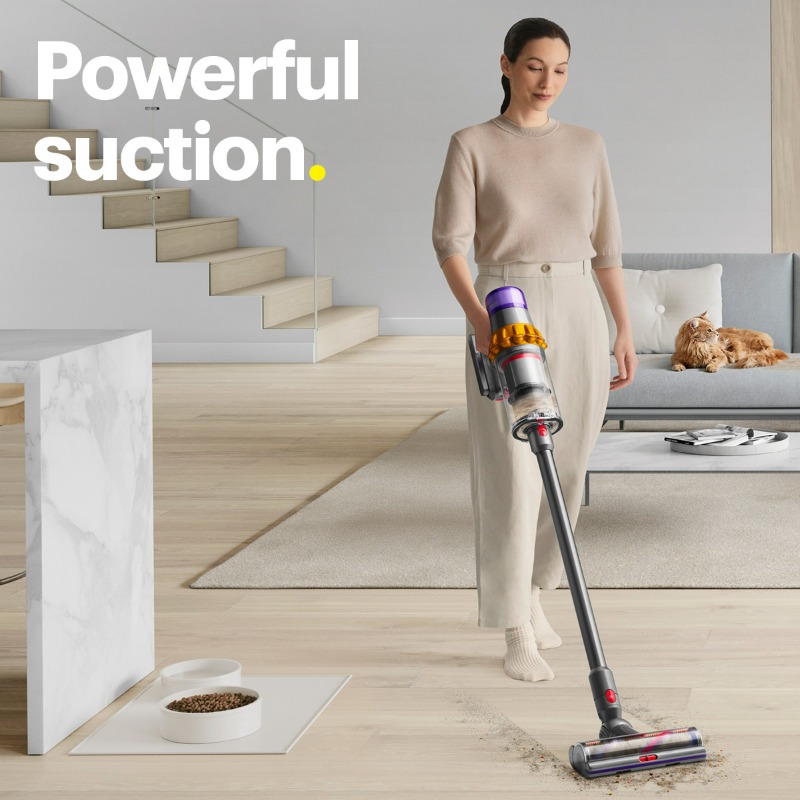BestBuy's tweet photo. Looking to get rid of that pesky dog and cat hair? Dyson’s specially engineered vacuums are ready to help.