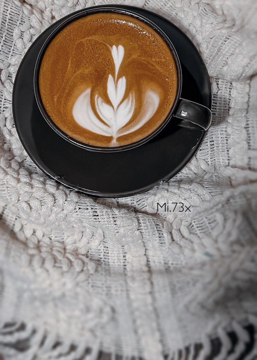 𝙼𝚒𝚉𝙰🤍📸".. tweet media