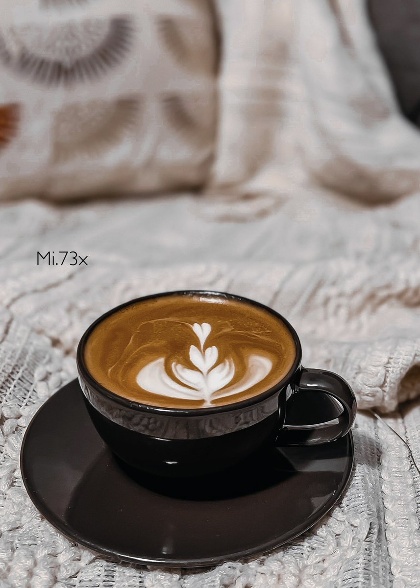 𝙼𝚒𝚉𝙰🤍📸".. tweet media