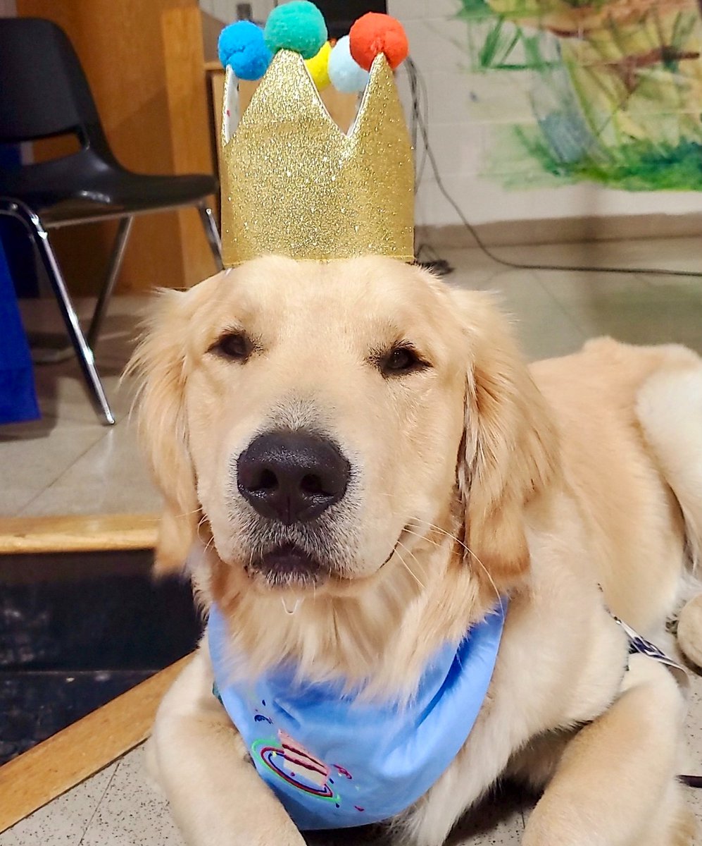 ShawneePublic's tweet photo. Students at Horace Mann celebrated Henry's 1st birthday today. Henry is a fully certified therapy dog who works in the Restorative Behavior Room at Horace Mann. He helps students regulate their emotions, remain calm and feel safe. Happy birthday Henry! #ShawneeSTRONG https://t.co/cFumAdwfdk