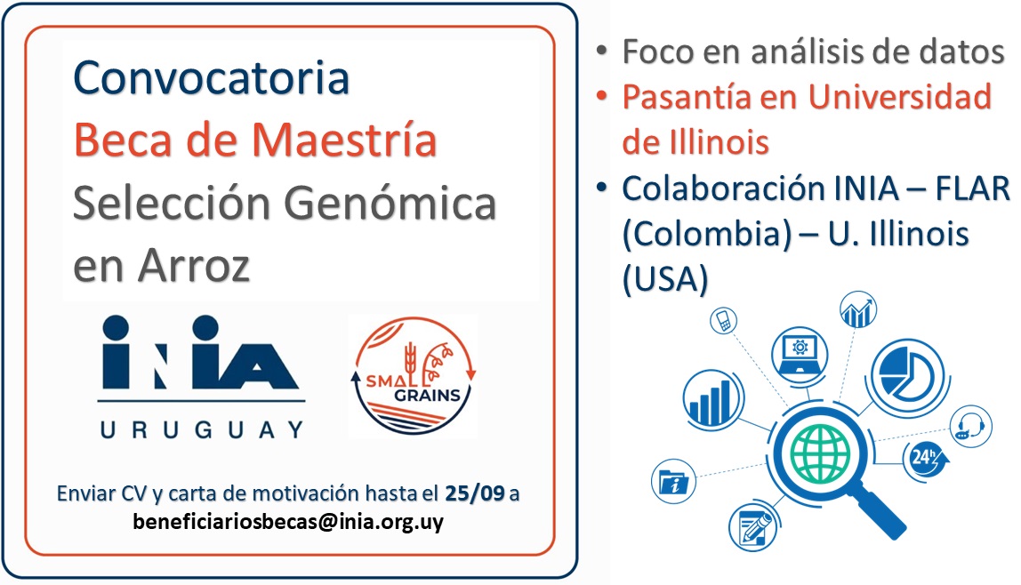 JuanRos92324607's tweet photo. Buscamos estudiante de maestría para proyecto en selección genómica de arroz en colaboración con @arrozFLAR @jdarbelaez (Pasantía en U. Illinois) 🇺🇸🇨🇴🇺🇾 Trabajo híbrido (remoto-presencial) 💻 Beca ANII + complemento💰 #RetweeetPlease🔄 https://t.co/wCY8iel1Rf