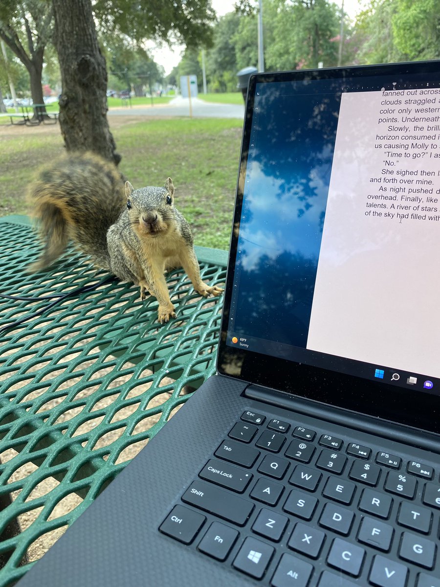 cmullenwrites's tweet photo. Not sure if the squirrel is about to get ROWDY or if it thinks the author is a nut! 🤠

https://t.co/lYSDJVCXpa

#readrowdy #squirrel #nut #nature #katytx #outdoors #texasauthor #book #booknews #bookreaders #books #fyp #read #series #teenreaders #yabooks #yalit #yawestern https://t.co/DZYwQ1OClM