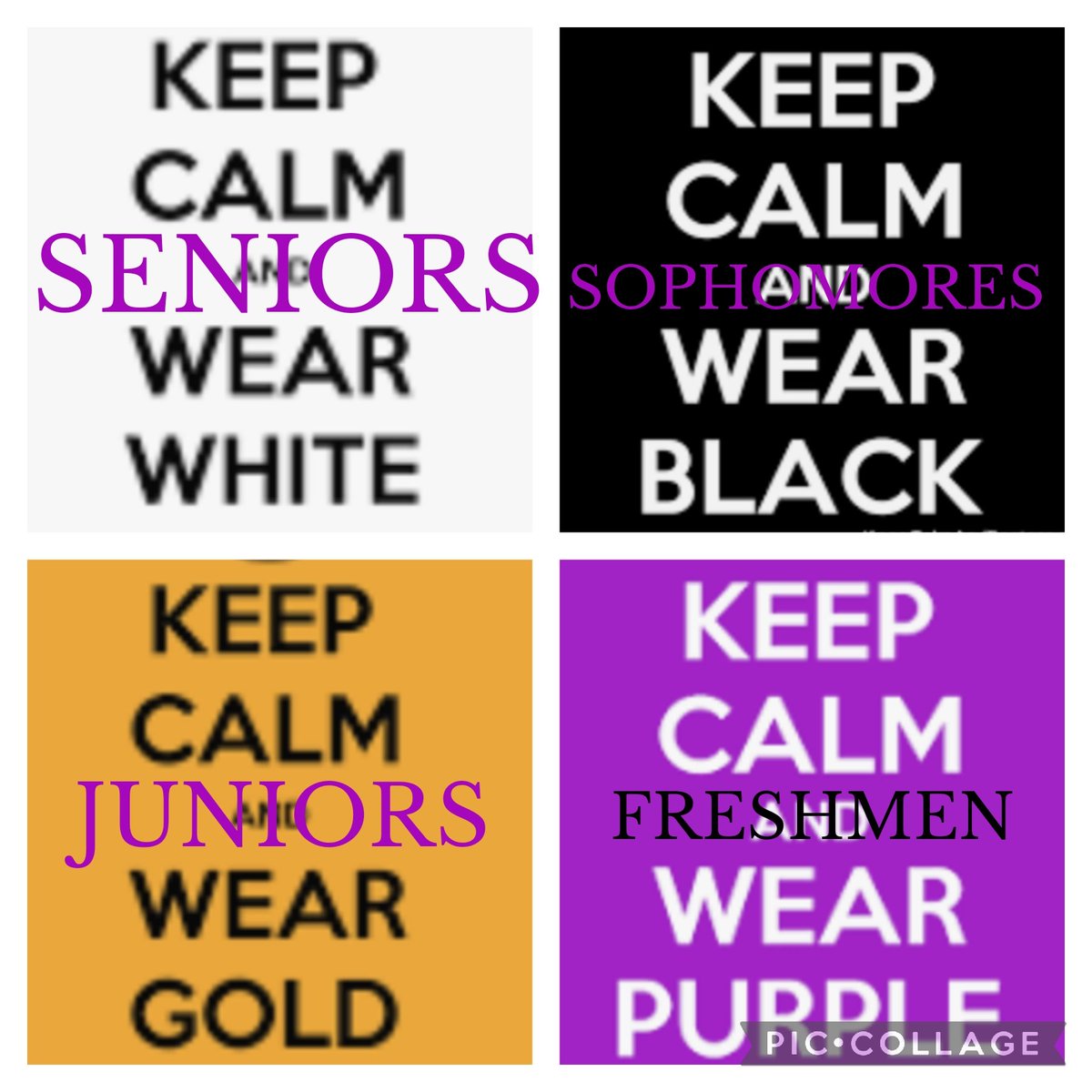 Dress Up Day Participation Results

🖤 1st Sophomores
💜 2nd Freshmen
🤍 3rd Seniors
💛 4th Juniors

#SequatchieHoCo22