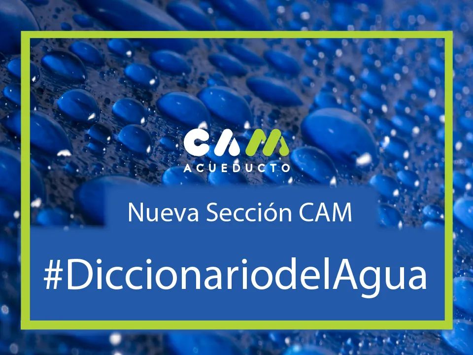 acueductocam's tweet photo. A partir del 12 de septiembre llega el #diccionariodelagua una nueva sección donde encontrarás términos relacionados con el agua y su tratamiento.
¡Aprende junto a la CAM!

#acueducto #AcueductoCAM #Agua #PalabraDelDia https://t.co/xKvLFoPqAL