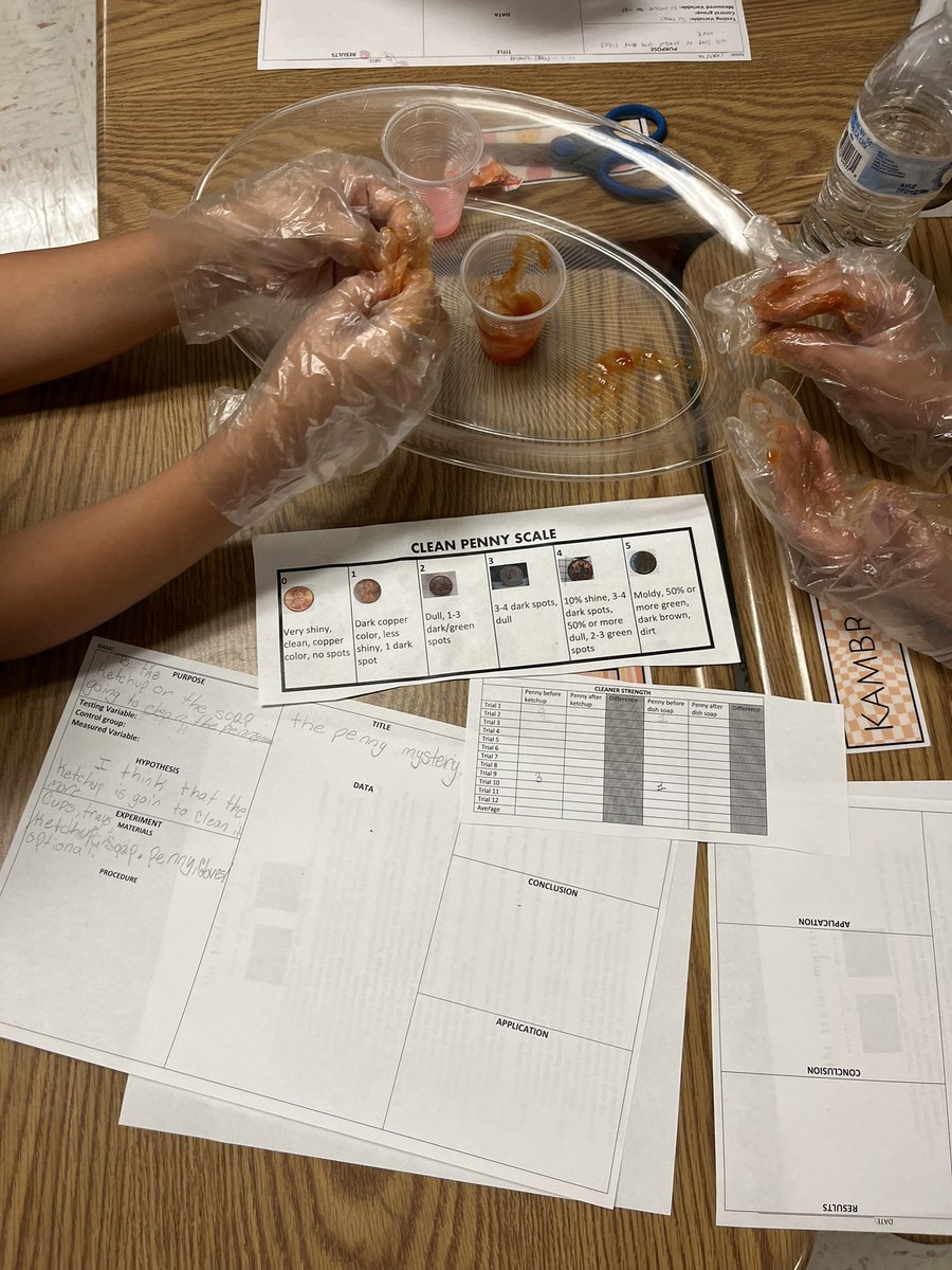 kennanphipps's tweet photo. Great day in 5th grade at @freedomvolusia testing whether ketchup or dish soap cleans a penny better! Getting ready for science project season! π§¬π₯Όπ§ͺ #FA22Interns #VCSscientists https://t.co/XuzvgQAql8