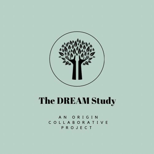 Thedreamstudy tweet media