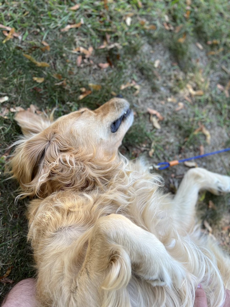 Aaron Hassinger tweet media