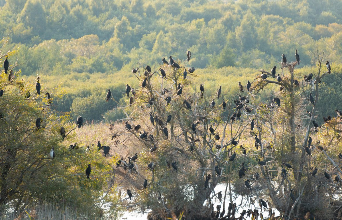 UnaxePictures tweet media