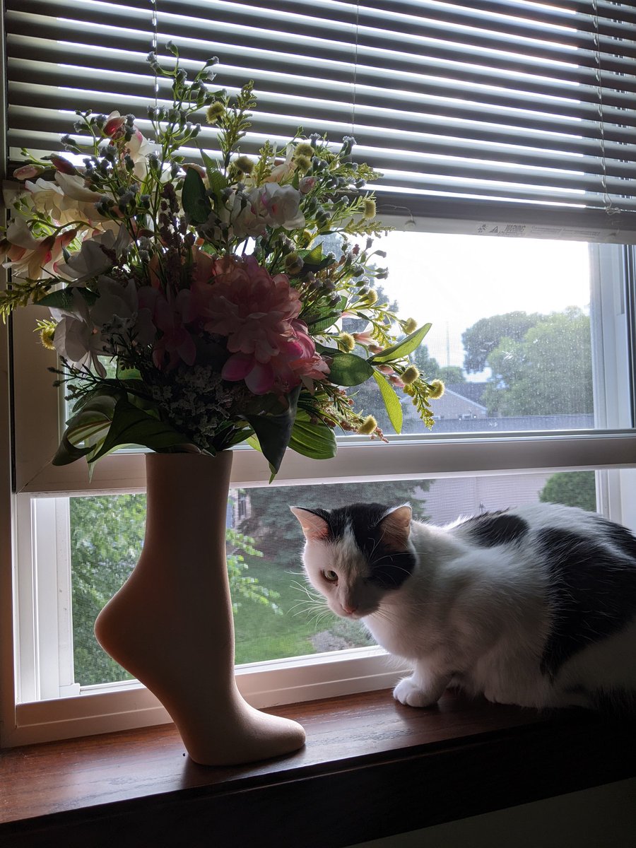 allyzike's tweet photo. buying this foot mannequin that I repurposed for a vase for $5 when Bergners closed a long time ago is still my favorite purchase. I luv picking out new flowers for her 💕🌸 https://t.co/ru4jSm8aQZ