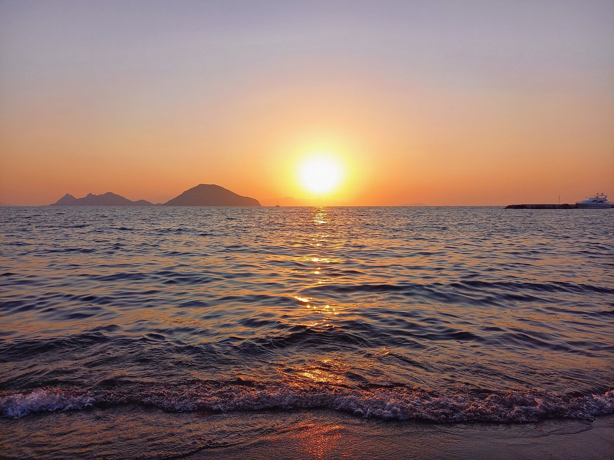 Des Mann (@despaulmann) on Twitter photo 