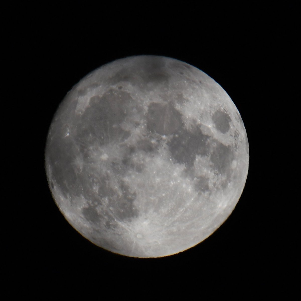 Chris Wayman tweet media