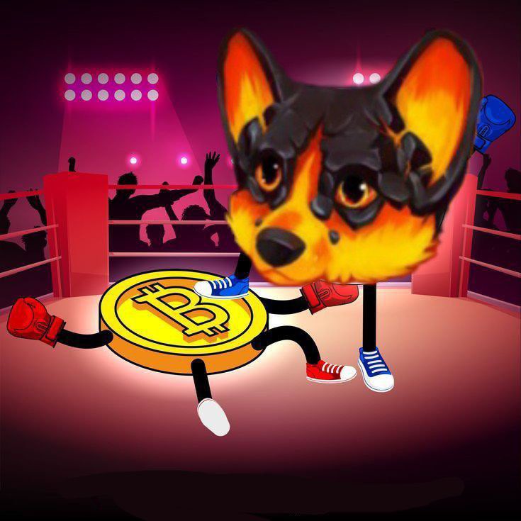 theFireball_Inu's tweet photo. @ShrekCrypto_ When you gonna come ape?👀 you know we the slow moon that gonna last🔥🚀😁 #fireball #Fireball_Inu #fireballinu #Crypto #BSCGems #BSCGemAlert #altcoin #BNB #Binance https://t.co/m1fJZYM1Jc