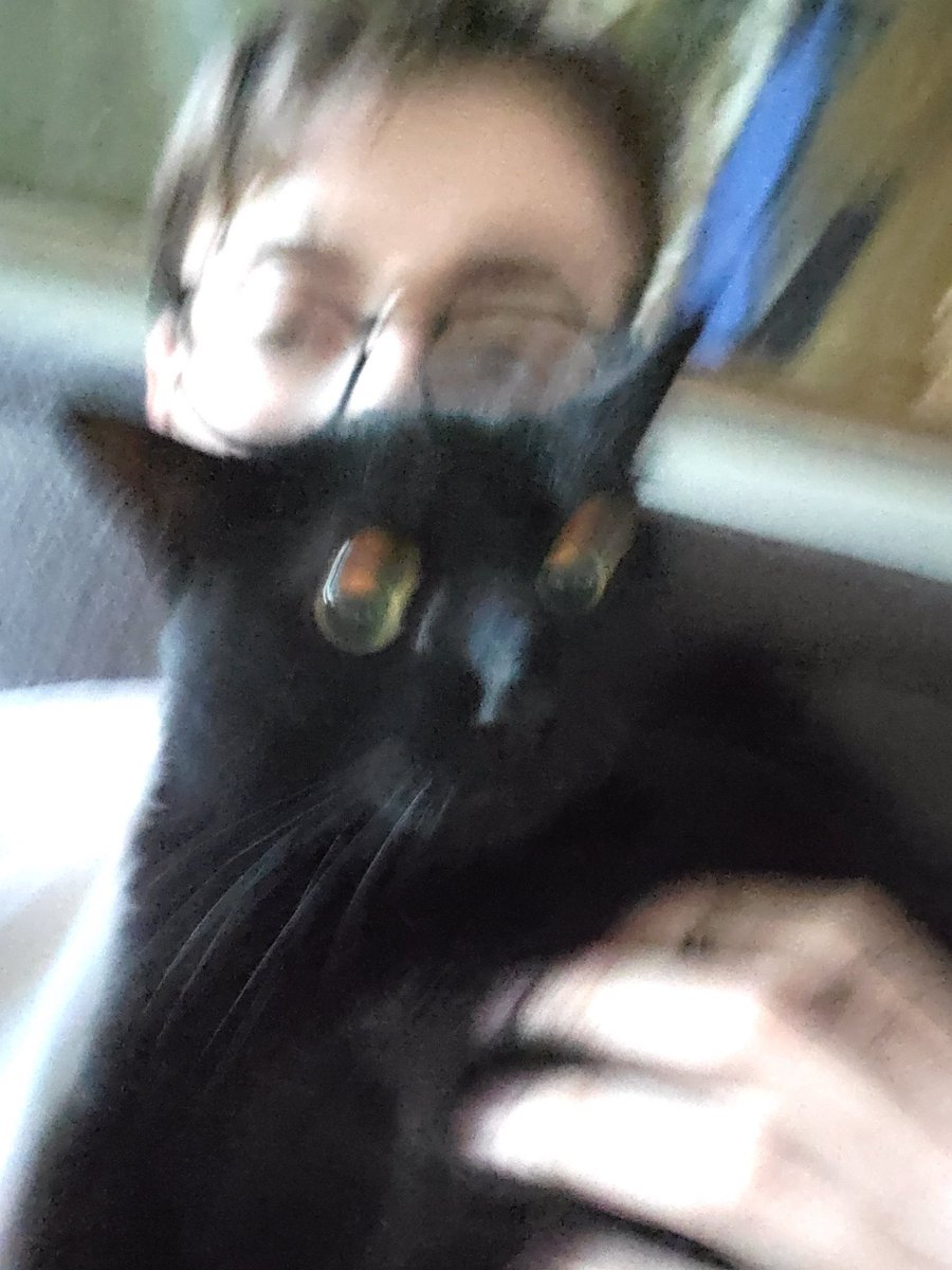 MCSR Cats tweet media