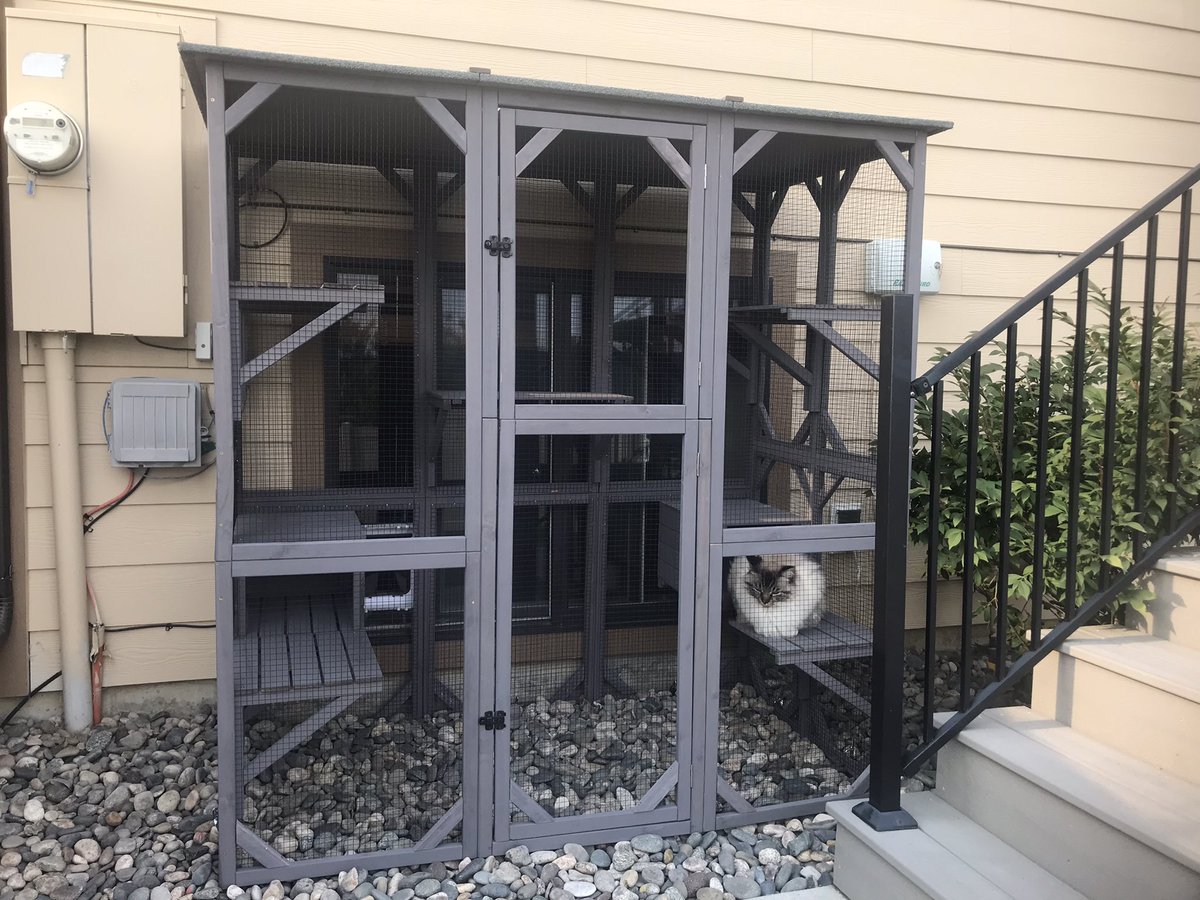 Leafagelime's tweet photo. Moose’s play hutch is done 🥺💕 https://t.co/LQKyAKZp22
