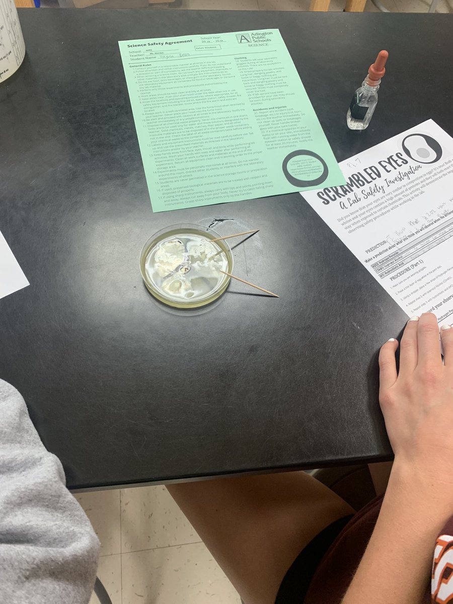 WMS Science (@wmswolfscience) on Twitter photo Ss participate in a lab to demonstrate the importance of safety in science! Ss add chemicals to an egg to show why we wear safety goggles during a science lab. @APSscience <a href="/BoykinBryan/">Bryan Boykin</a> <a href="/WMS_WolfPack/">WilliamsburgMS</a> Ss participate in a lab to demonstrate the importance of safety in science! Ss add chemicals to an egg to show why we wear safety goggles during a science lab. @APSscience <a href="/BoykinBryan/">Bryan Boykin</a> <a href="/WMS_WolfPack/">WilliamsburgMS</a>