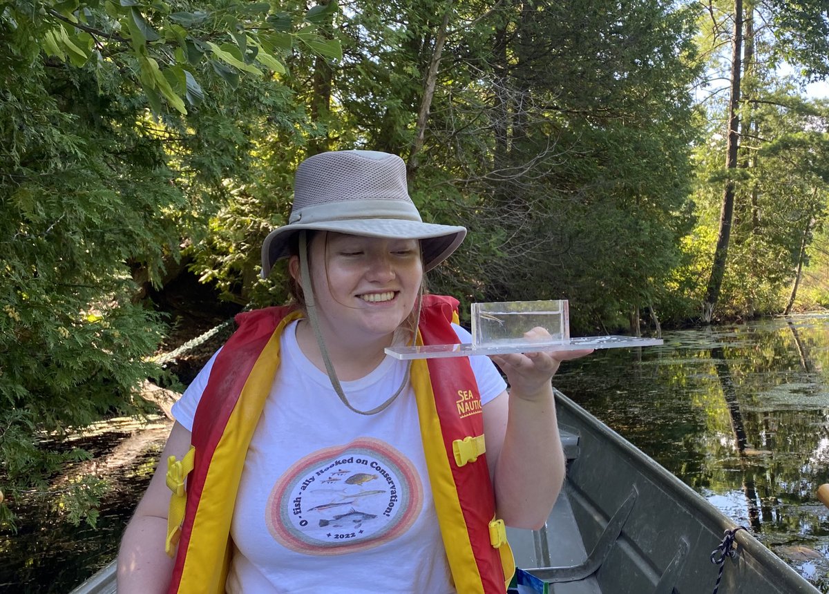 VeronicaGroves7's tweet photo. First day of #FallFieldWork with @JessicaReemeyer &amp; our first #SAR sighting! The #PugnoseShiner is listed as Threatened &amp; is one study species in the first chapter of my PhD @BioMcGill Interested in impacts of #MultipleStressors ? Stay tuned! 🐟 https://t.co/ZkHIp9Uulk