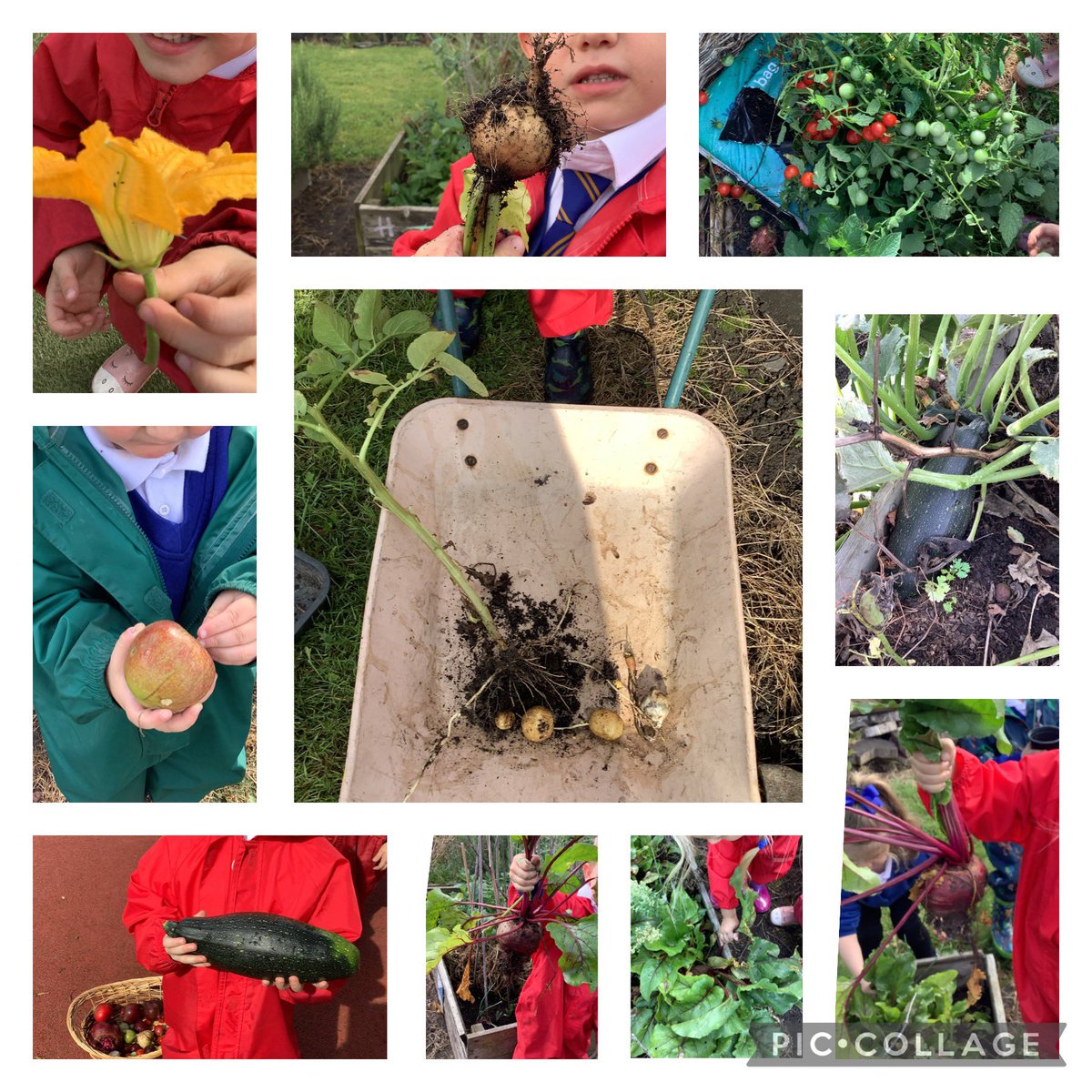 Mrs Clay tweet media