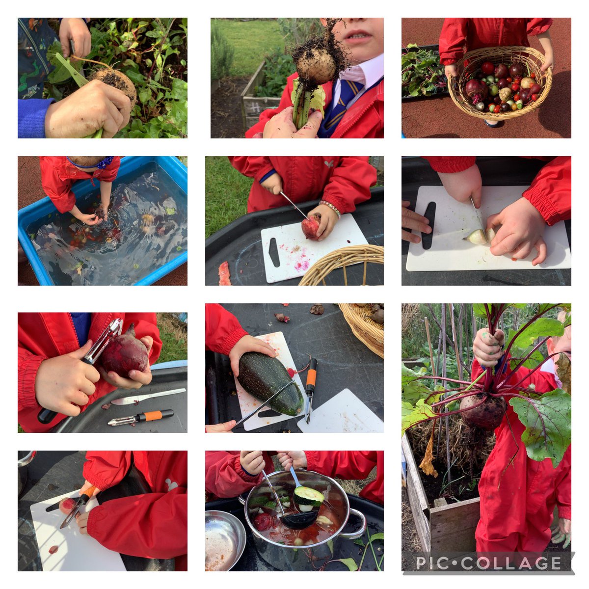 Mrs Clay tweet media