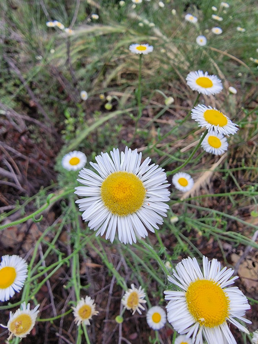 Randy Propster tweet media