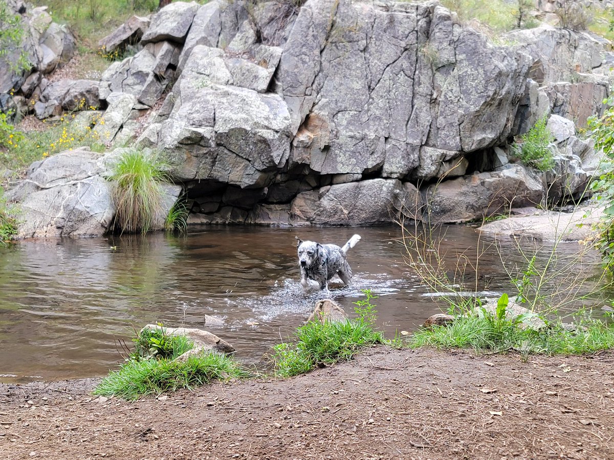 Randy Propster tweet media